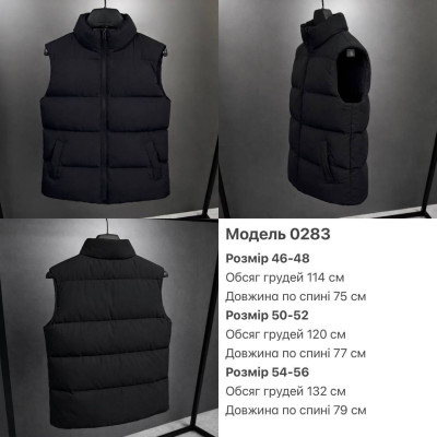 Чоловіча утеплена жилетка BlackShield 1431-0283 чорна — щільна плащівка, синтепон 200 для тепла й комфорту