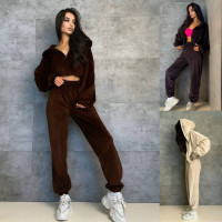 Велюровий Sport Premium костюм «VelvetMotion» 6220-1658 (барбі, шоколад, беж, чорний, сірий)