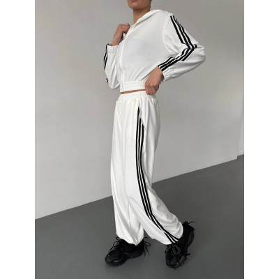 Велюровий спортивний костюм Sport Premium «Velvet Spectrum» 6220-1923 зі штанами на затяжках — барбі, темний шоколад, чорний, графіт, темно-синій, молочний, бордо