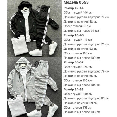 Чоловічий спортивний костюм 1434-0553 — чорний, сірий, графіт: стильний та зручний комплект на щодень