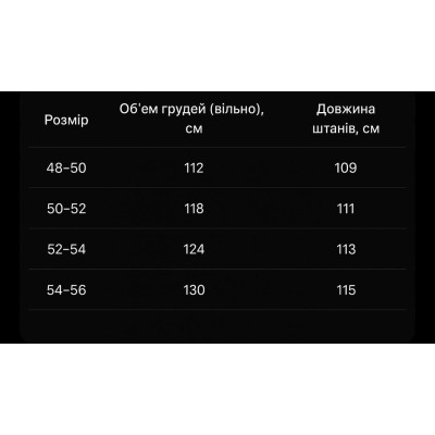 Чоловічий костюм Polar Fleece 852-9510 — теплий флісовий комплект для комфорту та активного відпочинку